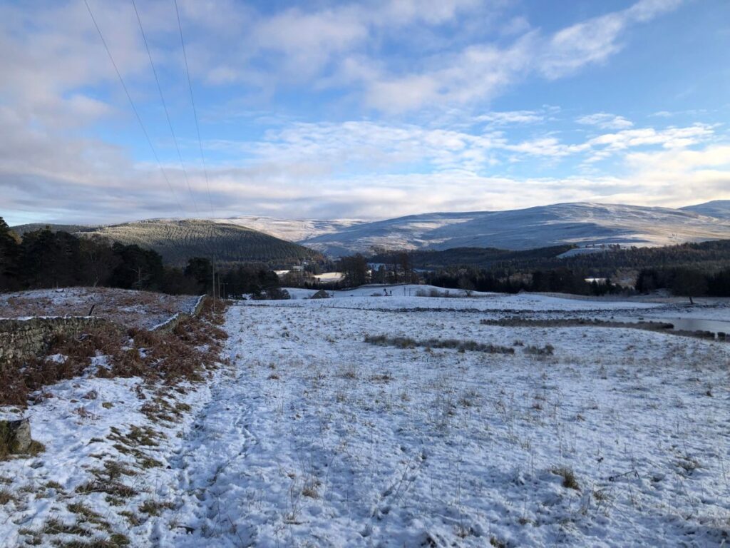 Royal Deeside Christmas at Gairn Apartment